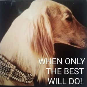WHEN ONLY THE BEST WILL DO!